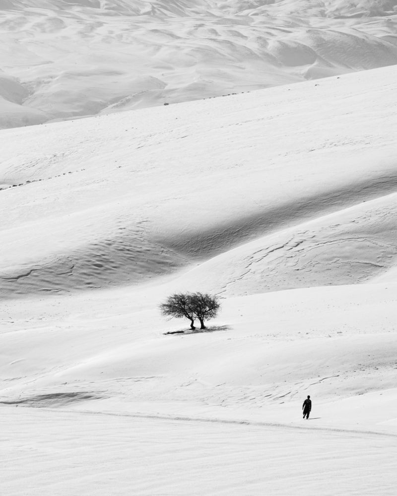 Фотография автора mohammad Alipour