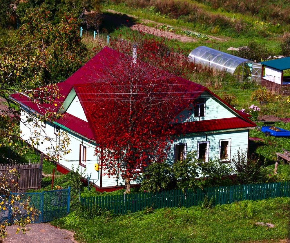 Photograph by ОЛЬГА ДЕРБЕНЕВА