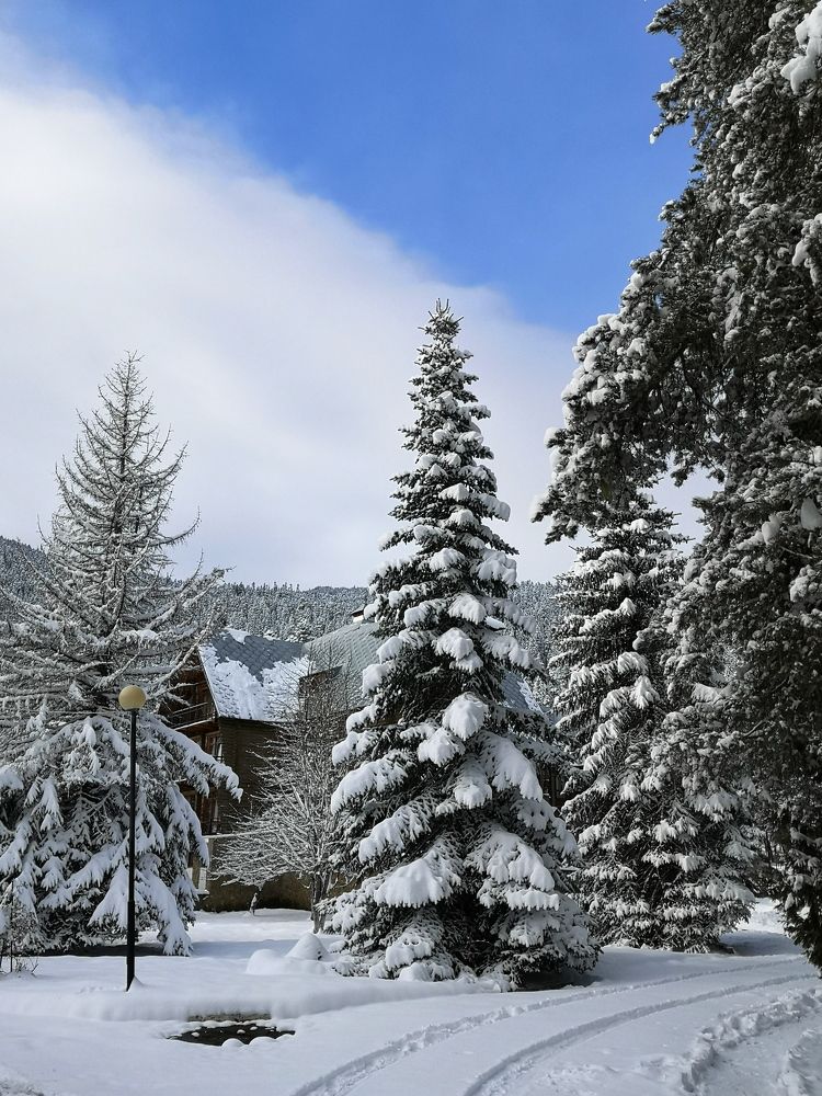 Photograph by Natali AB