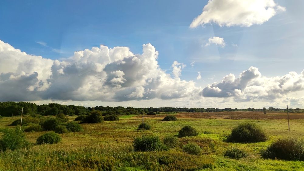 Фотография автора Ekaterina Sapezhinskaya