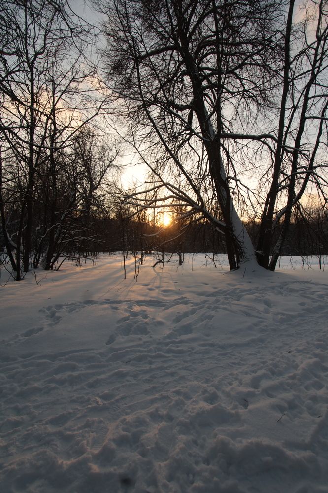 Photograph by Inna Tatarchenko