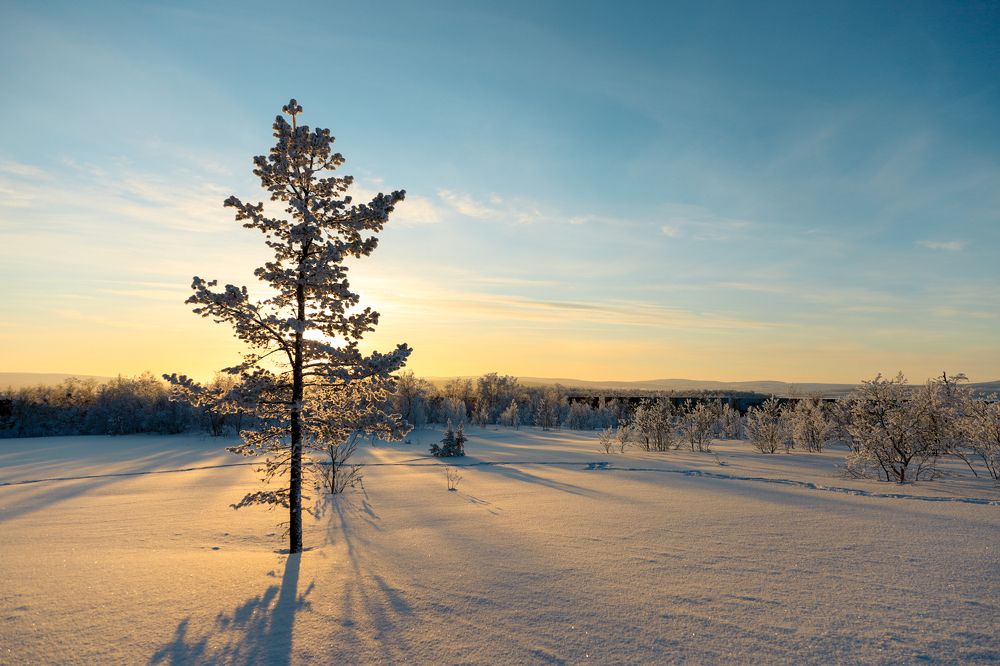 Фотография автора Андрей Русских