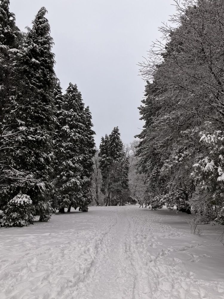 Photograph by Ivana Maksić