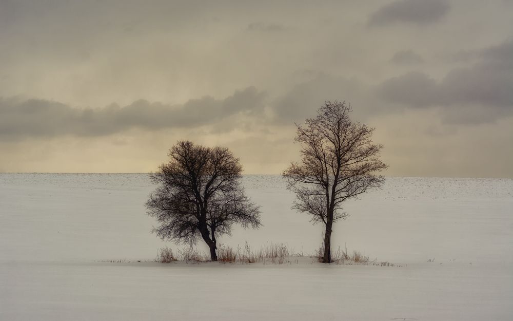 Photograph by Сергей Дишук