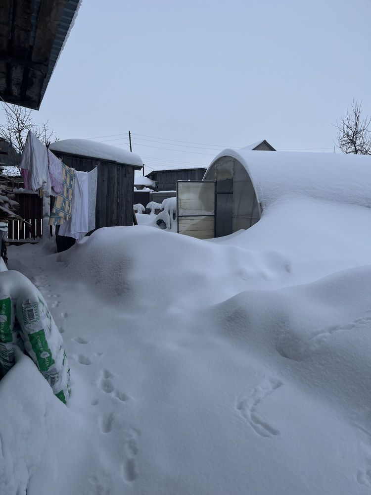 Photograph by Ekaterina