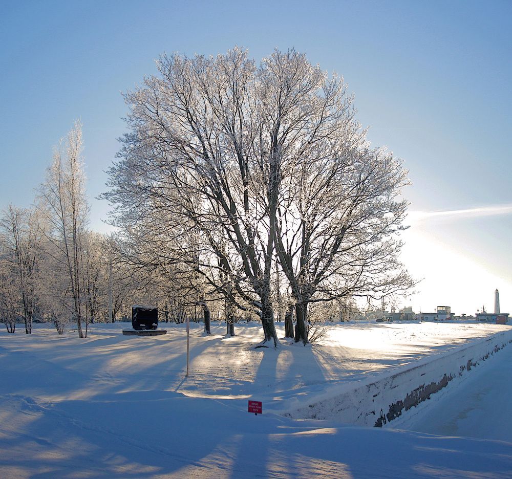 Photograph by Сергей Григорьев