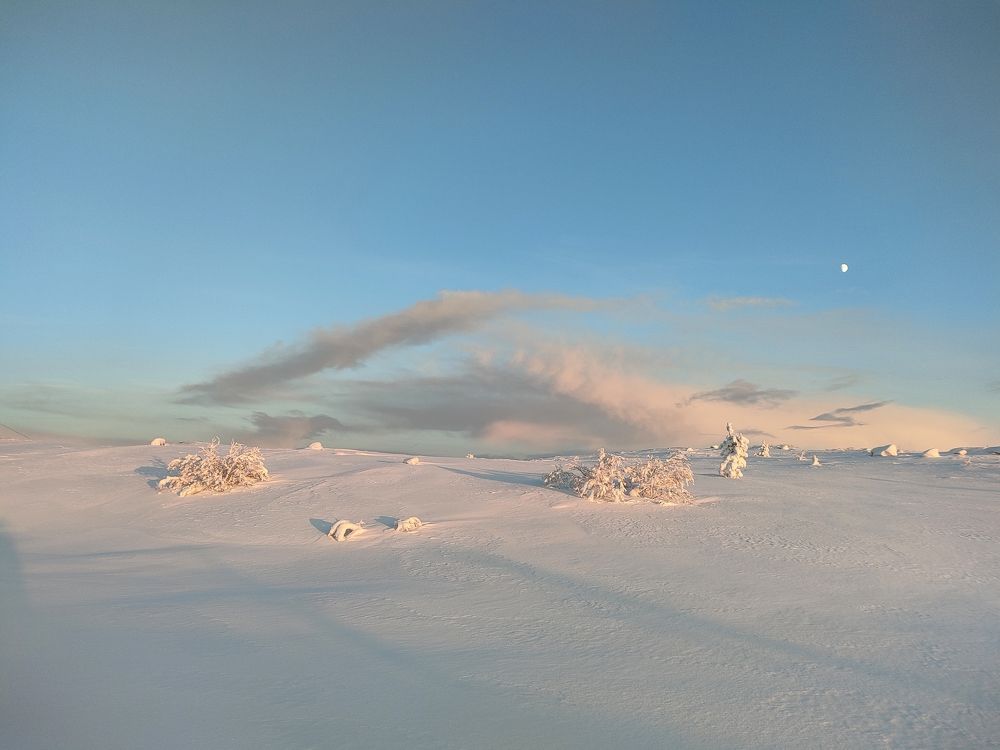 Безмятежность