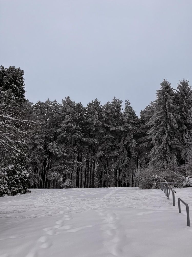 Photograph by Ivana Maksić