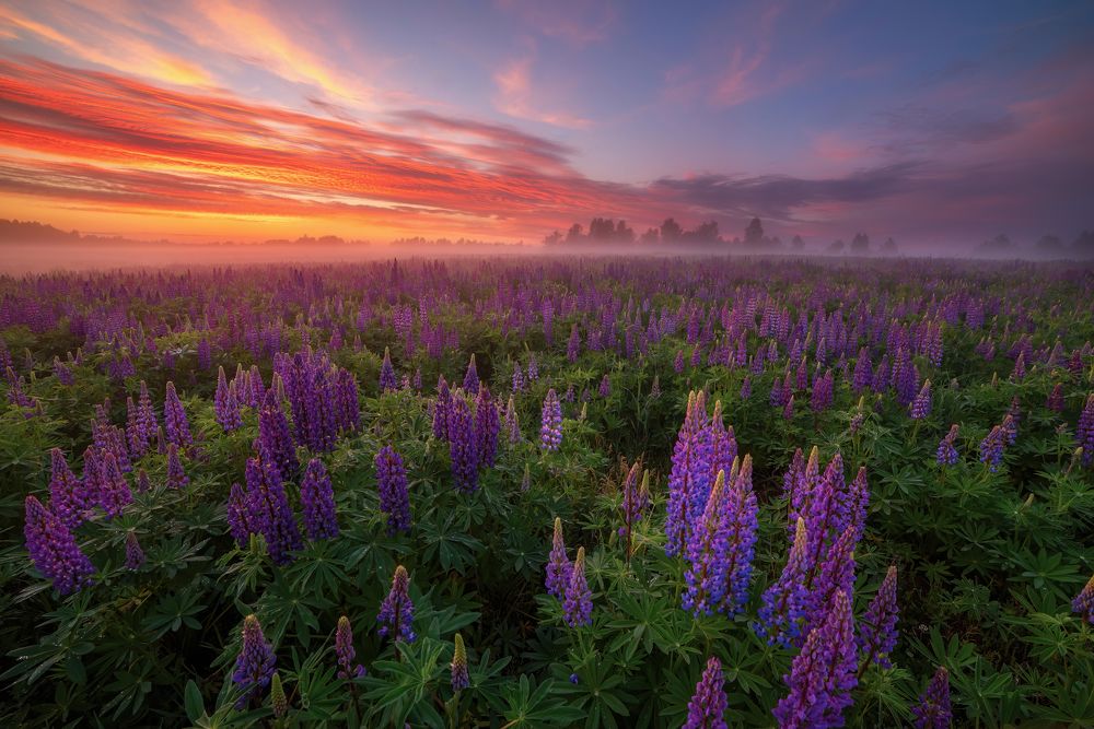 Photograph by Марина Мурашова