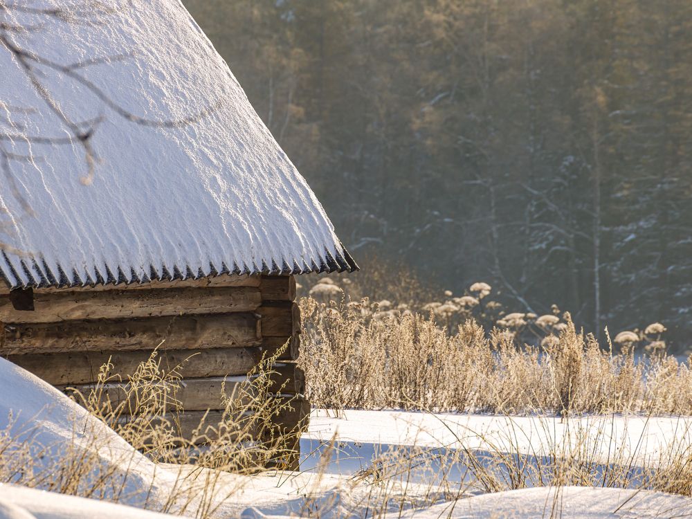 Фотография автора Евгений Чабанный