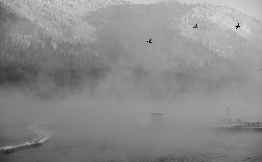 Photograph by Юля Чернецкая