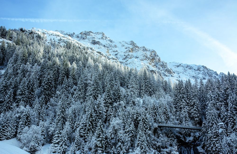 Photograph by Nicole Maria Oestreich