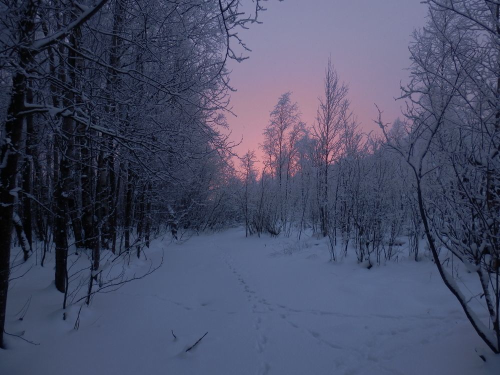 Photograph by Георгий Салюков