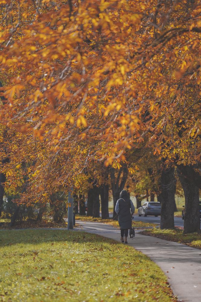 Photograph by Nikolay Surovtsev