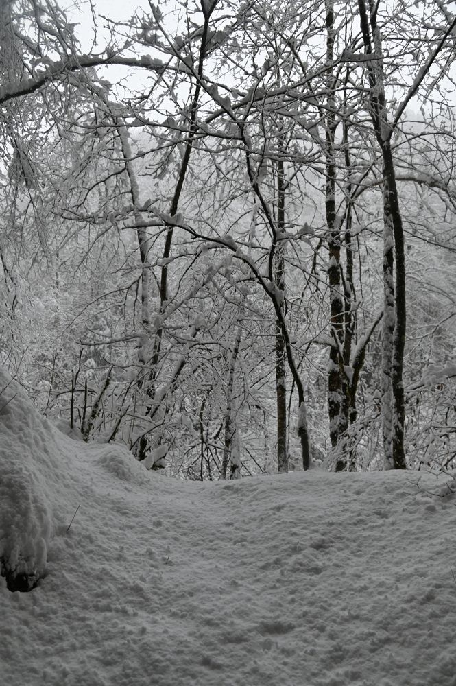 Photograph by Наталья Каплина