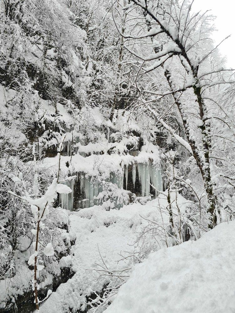 Photograph by Наталья Каплина