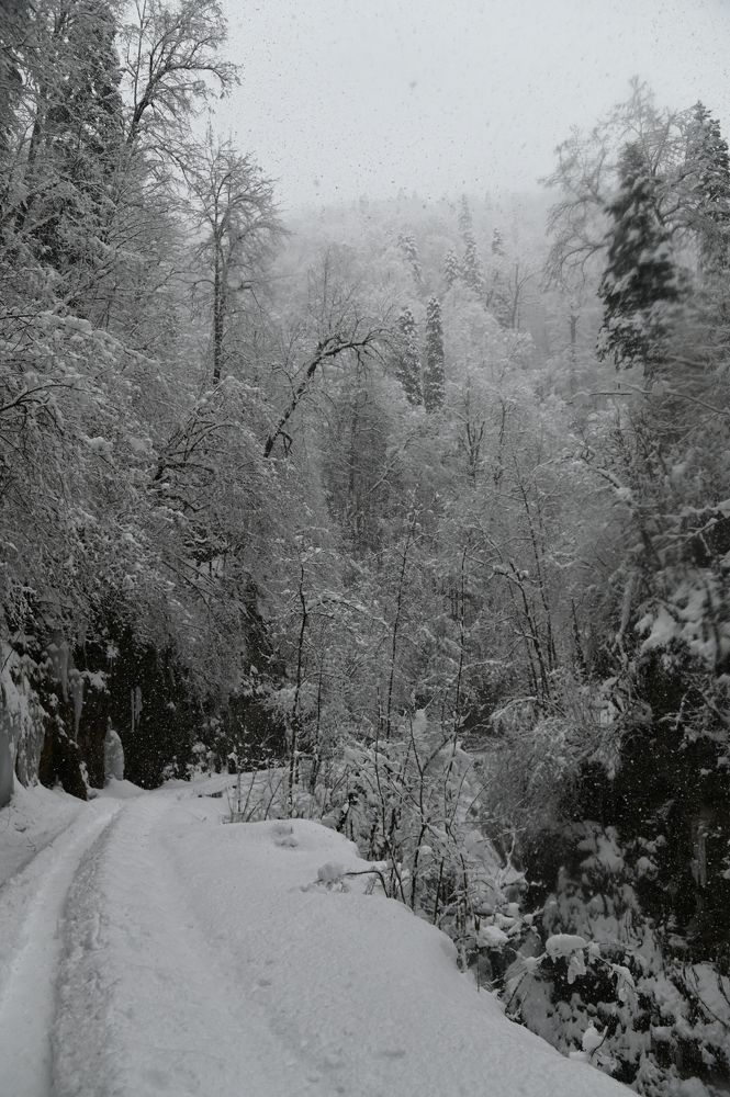 Photograph by Наталья Каплина