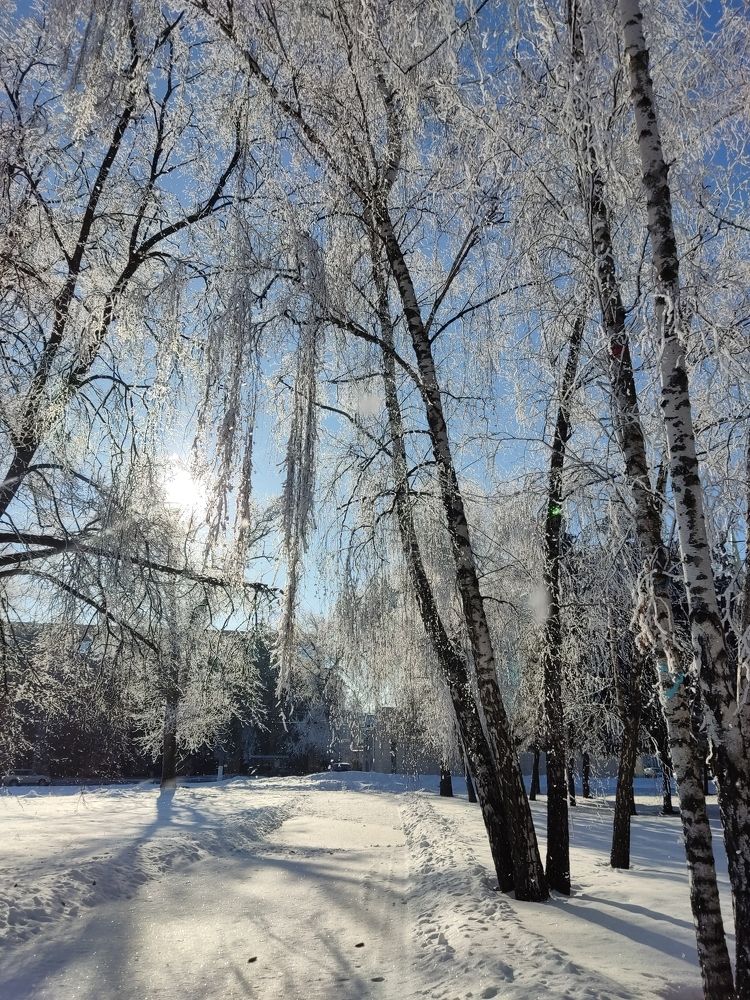 Photograph by Ivankina Elena