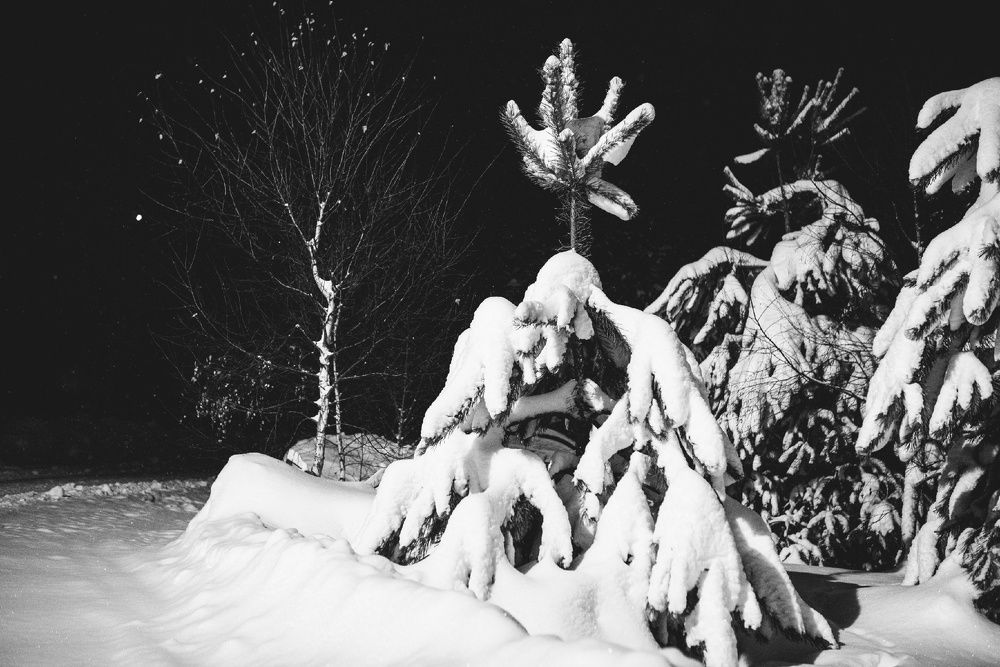 Photograph by Наталья Ивочкина