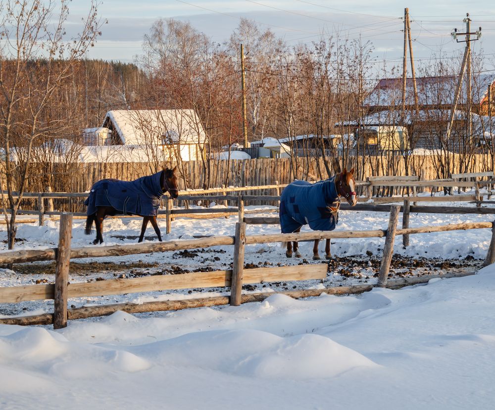 Photograph by Ксения Тенькина