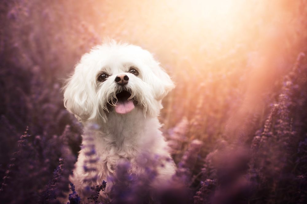 Photograph by leticia pascual garcia