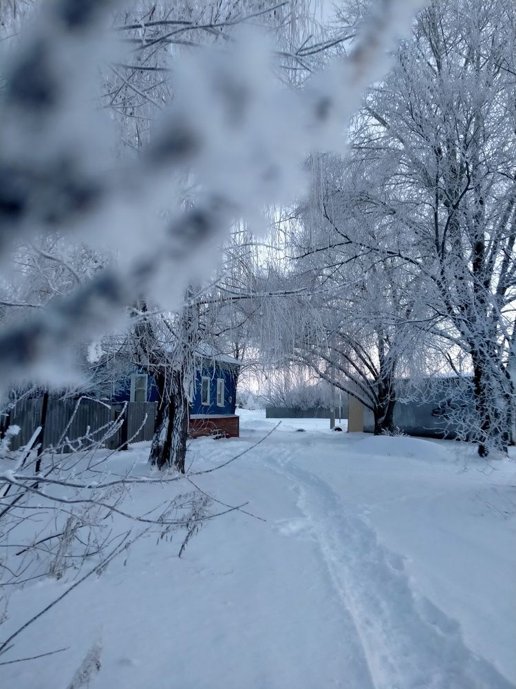 Фотография автора СветланаЧерн