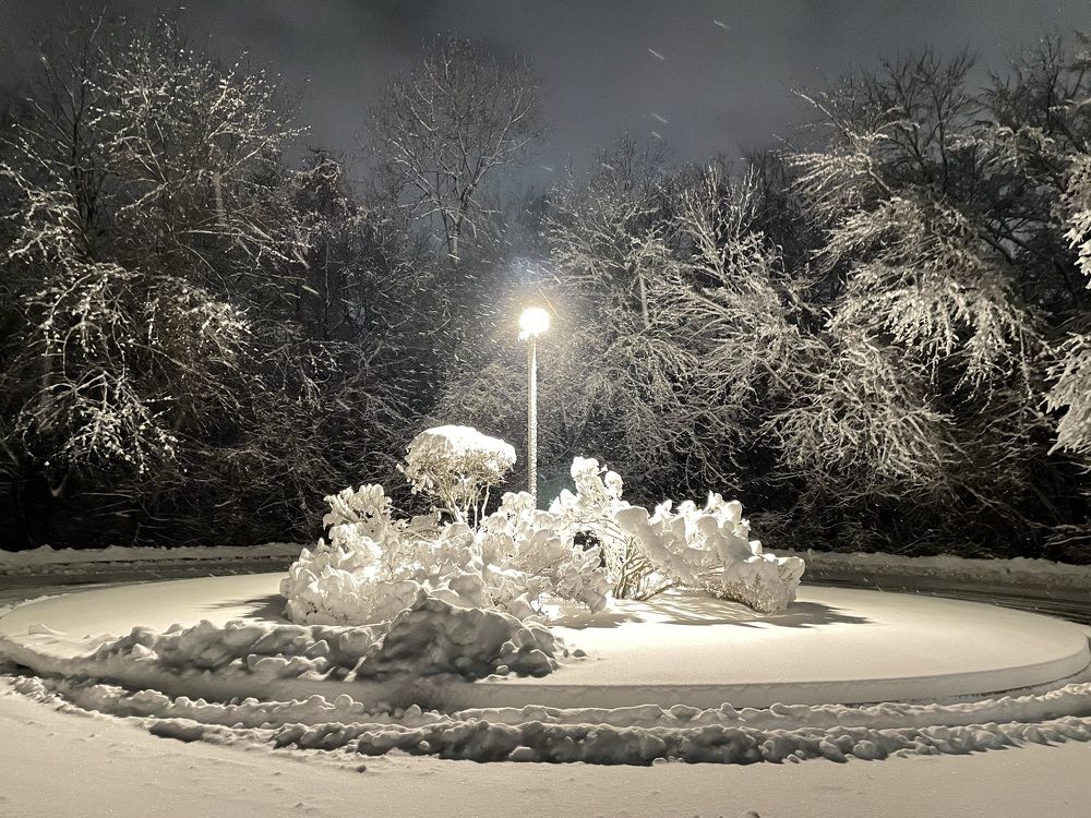 Фотография автора Olga Andriuc