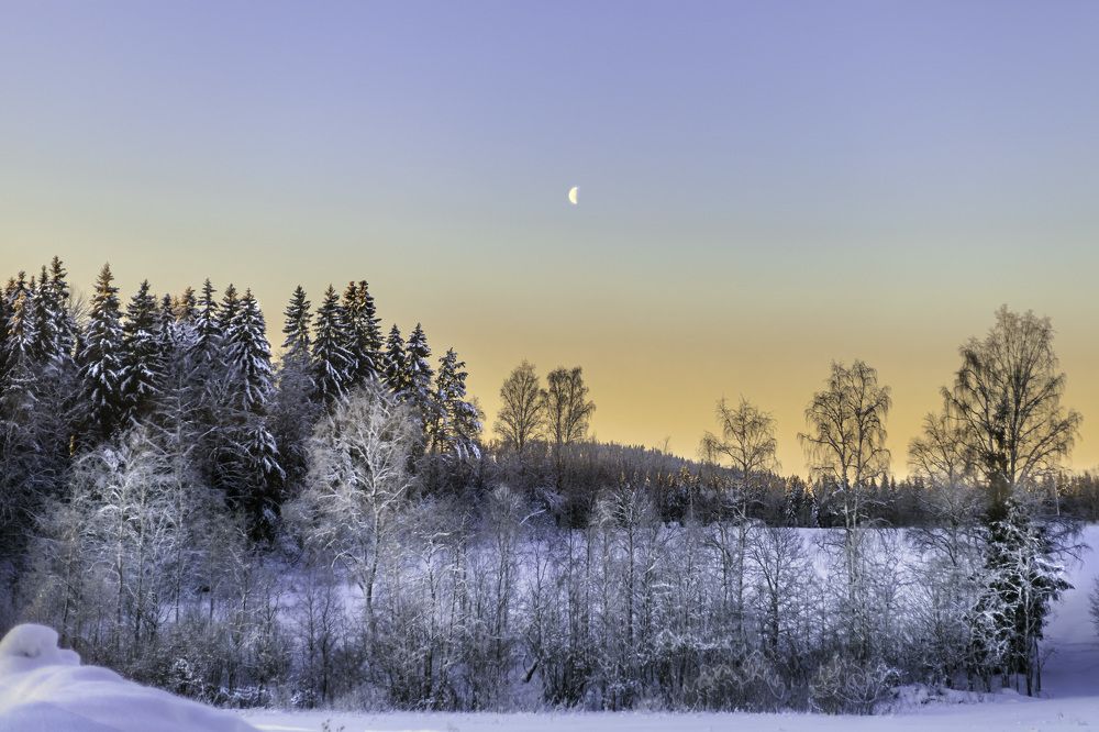 Photograph by Виктория   Никонова