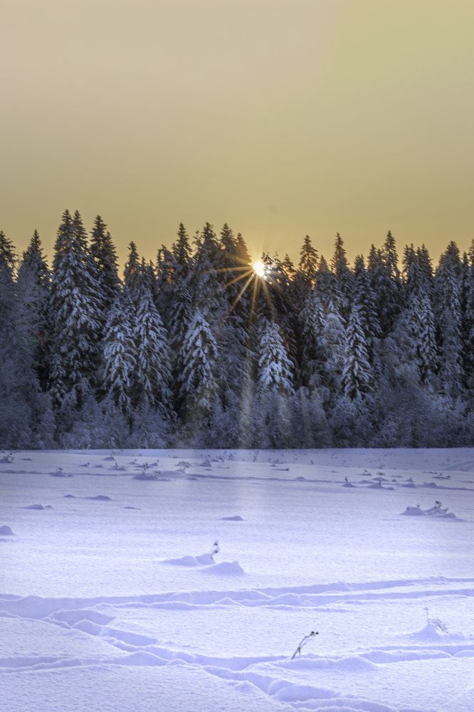 Photograph by Виктория   Никонова