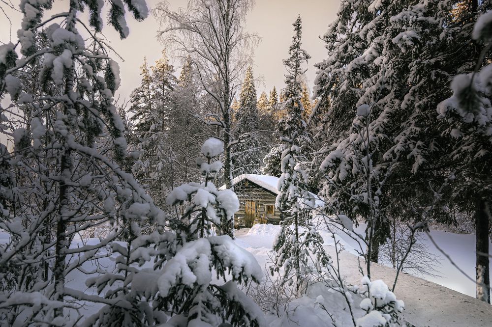 Photograph by Виктория   Никонова