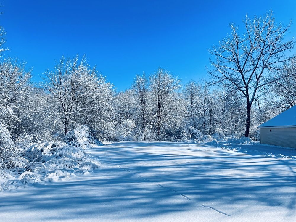 Фотография автора Olga Andriuc