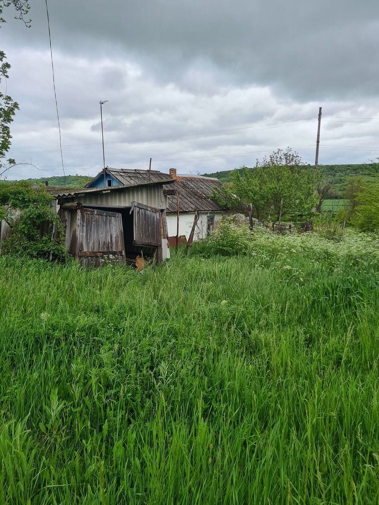 Photograph by Наталья Каплина