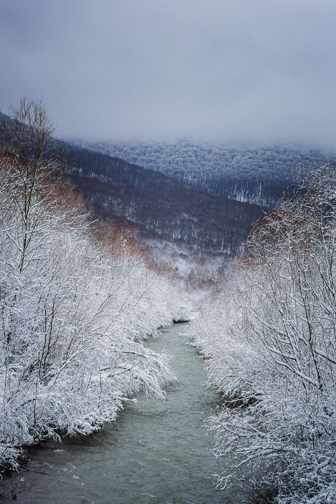 Photograph by Филипп Бабенко