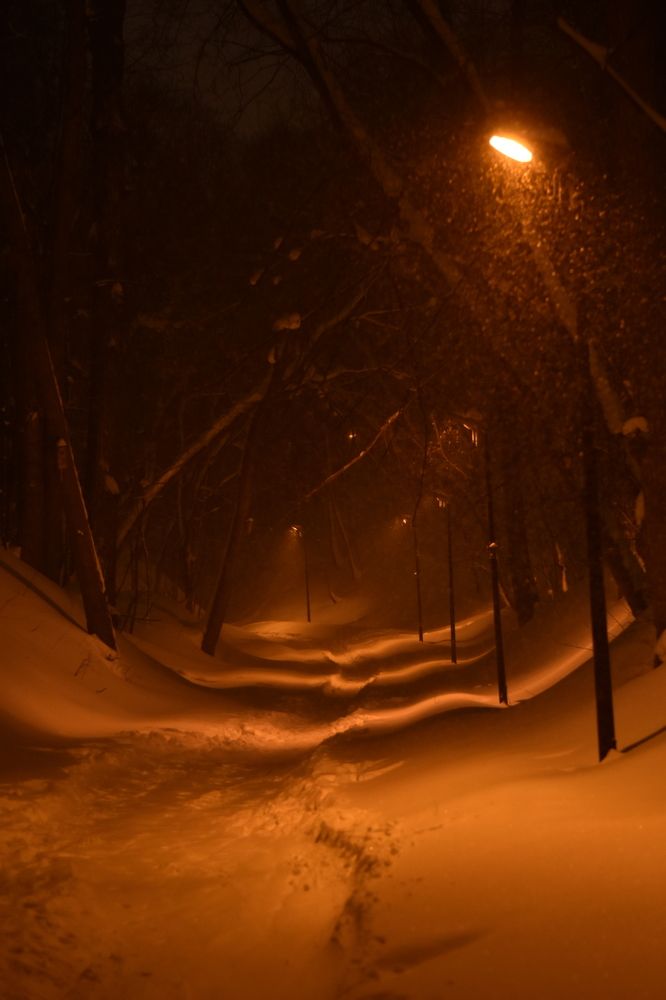 Photograph by Elvira