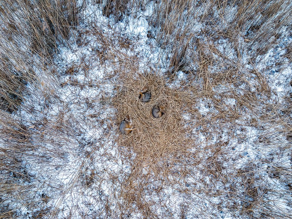 Photograph by Абросимов Александр