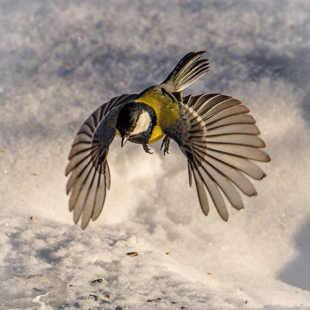 Photograph by Евгений Наймушин