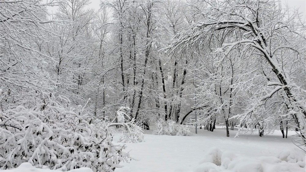 Photograph by Яна Галимуллина