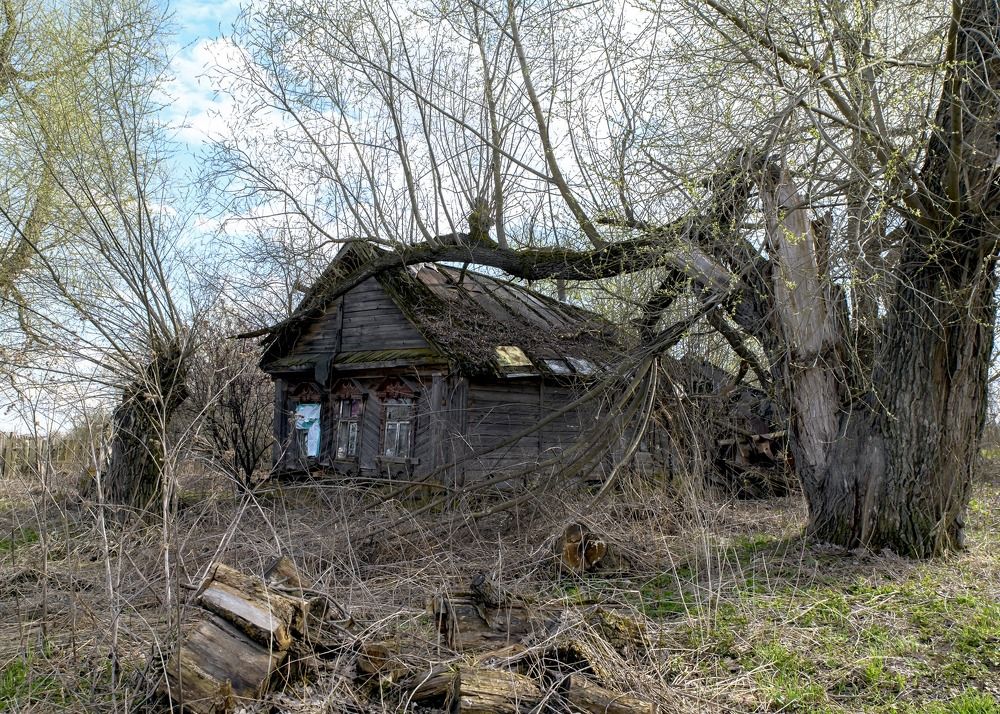 Photograph by Valery Pegushev