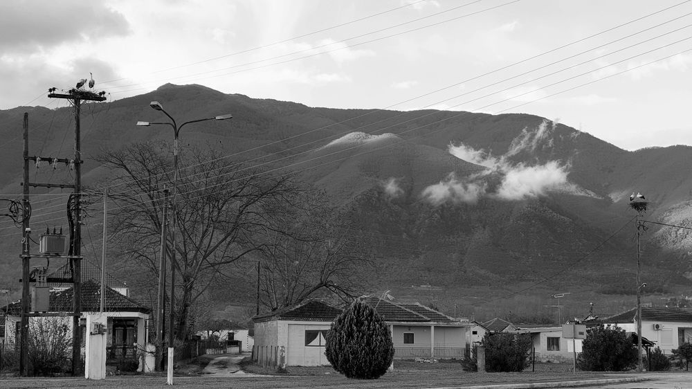 Photograph by Viktorova