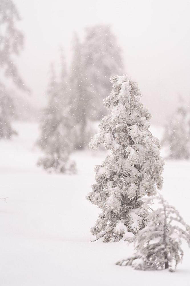 Photograph by Виктория Кузнецова