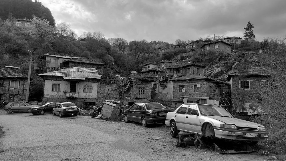 Photograph by Viktorova