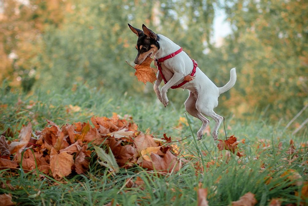 Photograph by Екатерина Лебедева