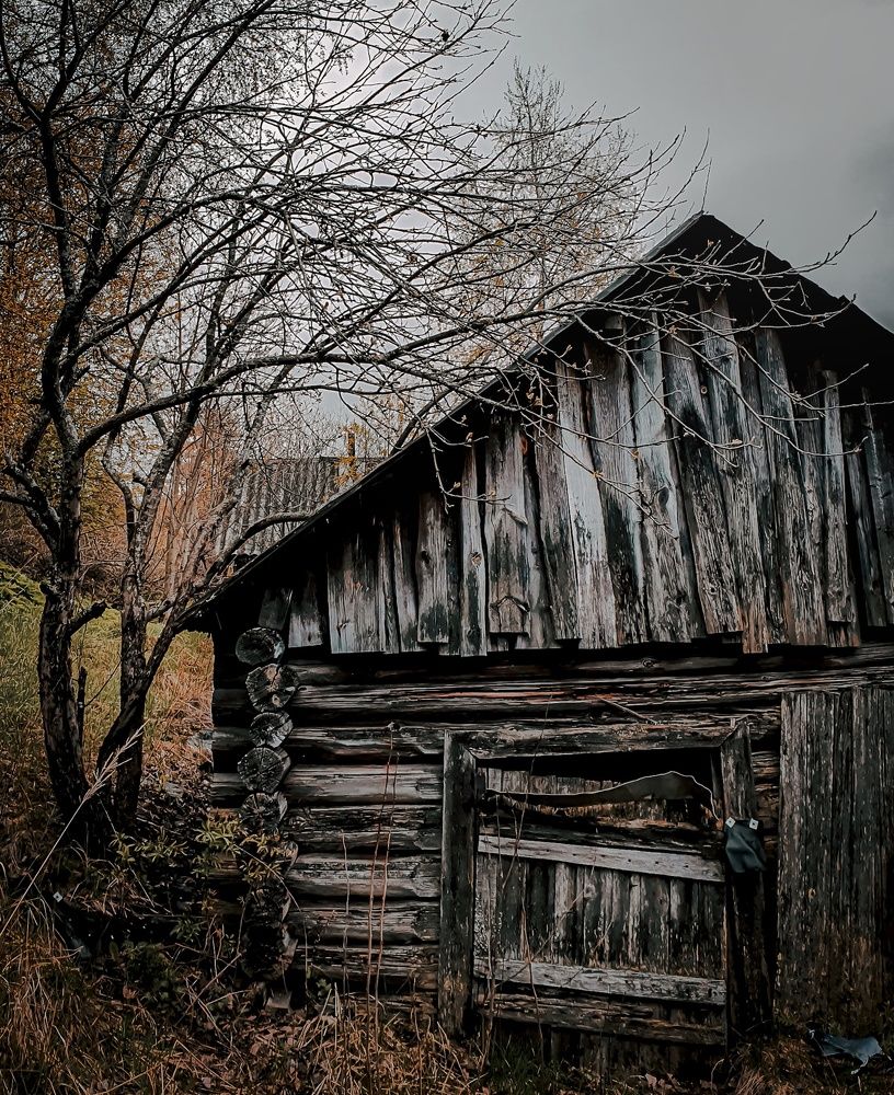 Photograph by Сергей Никифоров