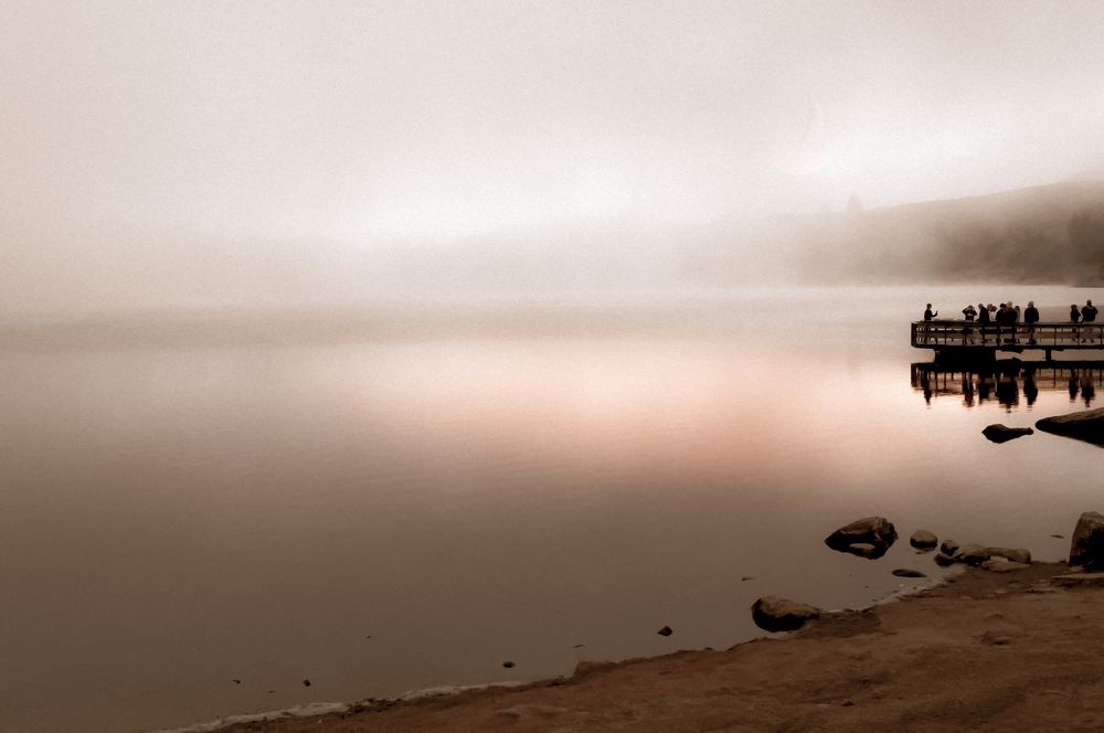 Photograph by Alex Hddife