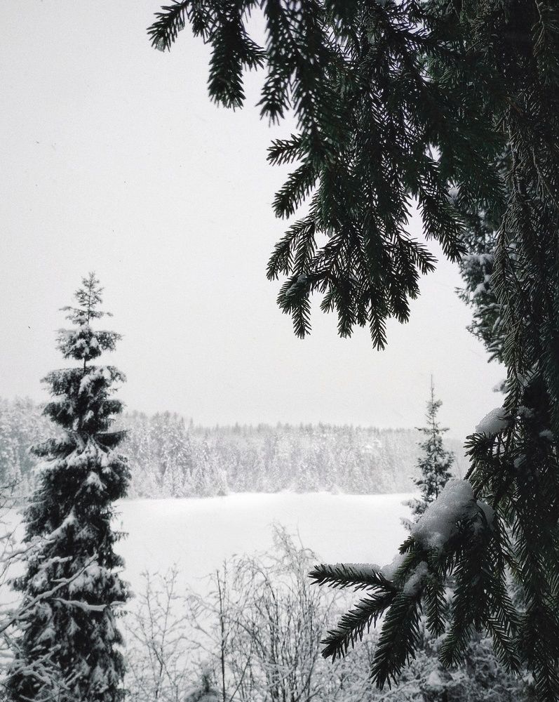 Photograph by Сергей Никифоров