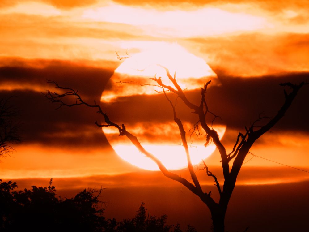 Ozuluama Sunset