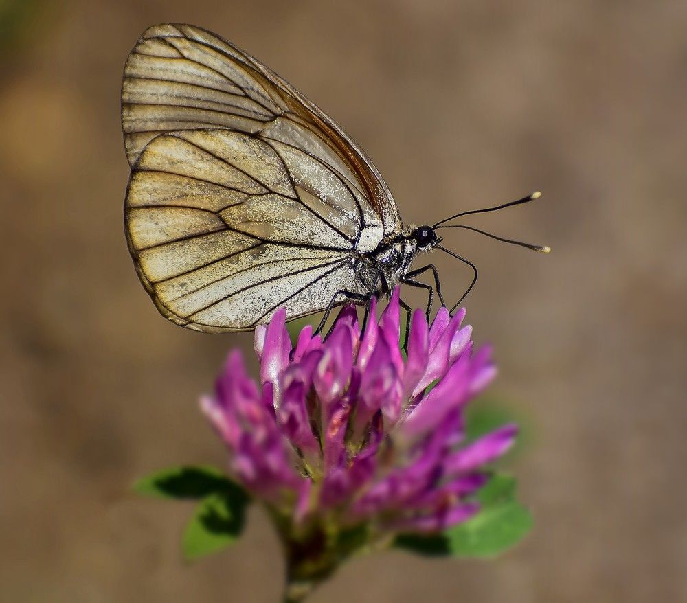 Пора подкрепиться