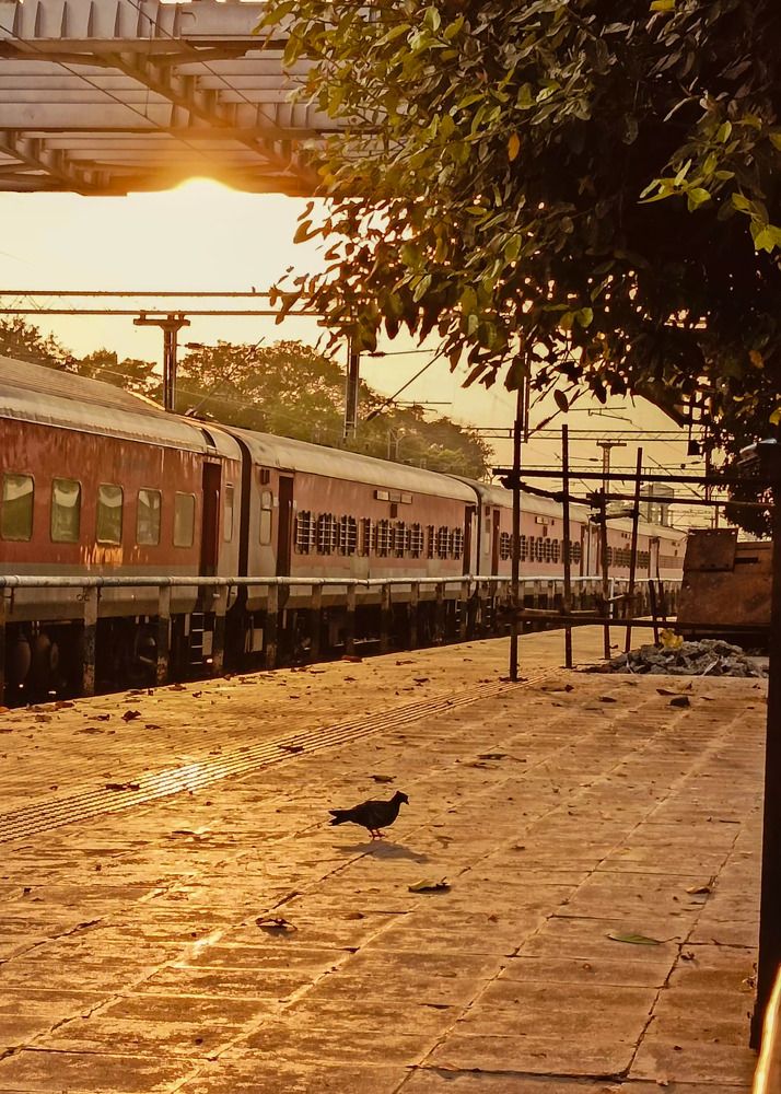 Photograph by Soumyadeep mondal