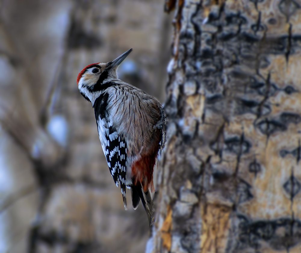 В новый год и на работу