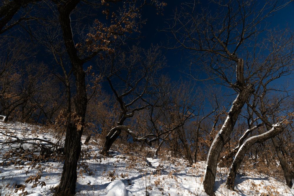 Photograph by Игорь Иванов